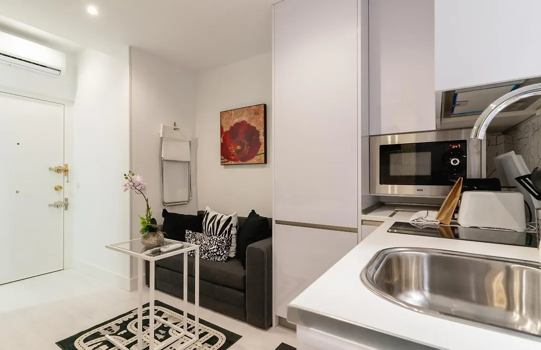 Modern Studio-1Bathroom-Chueca-1